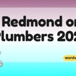 Redmond or Plumbers