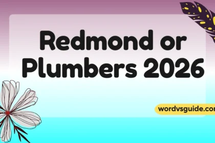 Redmond or Plumbers