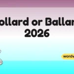 Bollard or Ballard