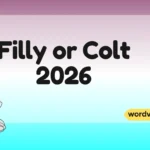 Filly or Colt