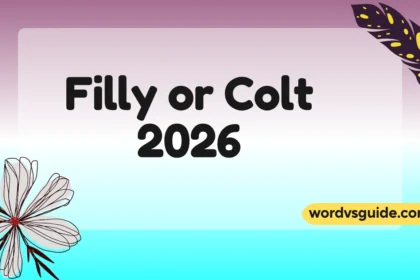 Filly or Colt
