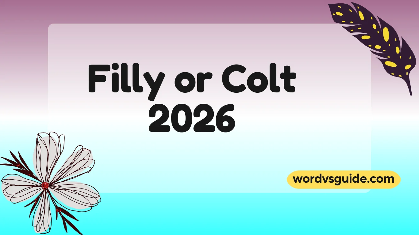 Filly or Colt