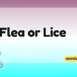 Flea or Lice