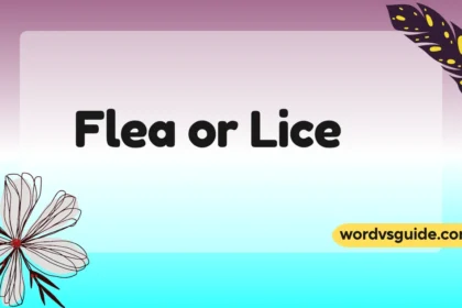Flea or Lice