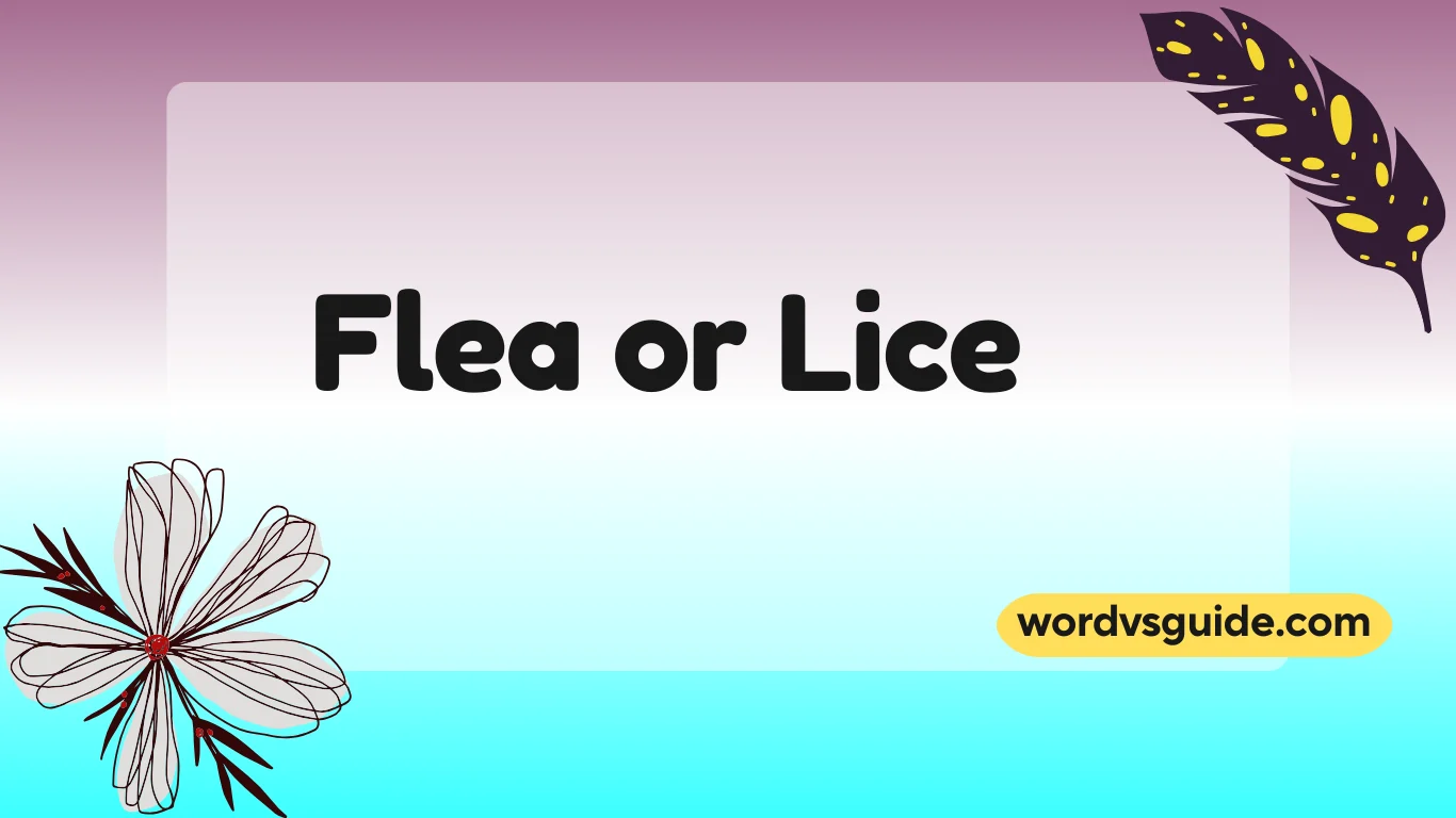 Flea or Lice