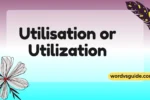 Utilisation or Utilization