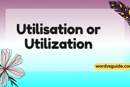 Utilisation or Utilization