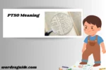 PTSO Meaning