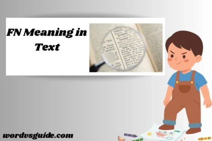 FN Meaning in Text