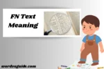 FN Text Meaning