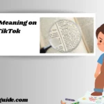 PTSO Meaning on TikTok