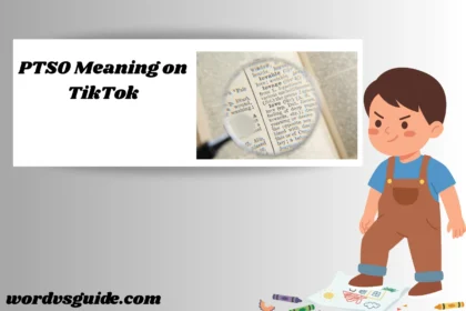 PTSO Meaning on TikTok