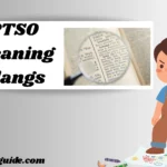 PTSO Meaning Slangs