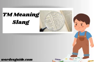 TM Meaning Slang