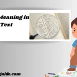 Wyll Meaning in Text